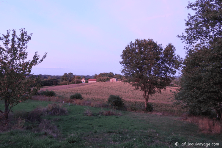 watermark_19-10-2018_19-31-10