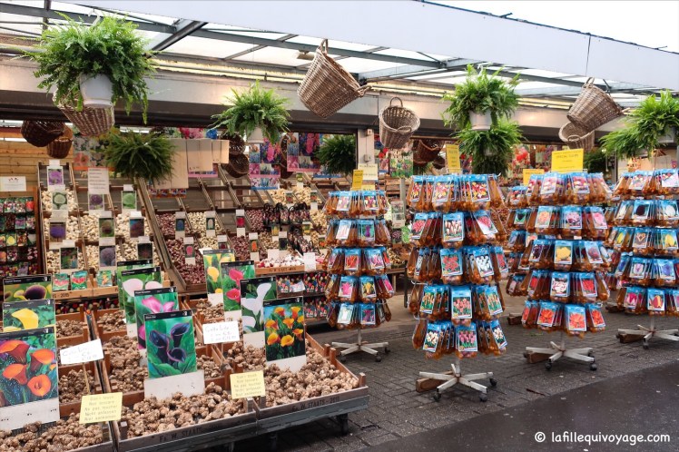 bulbes tulipes Marché aux fleurs