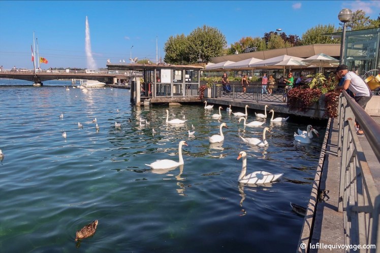 ezy watermark_10-07-2019_14-43-39