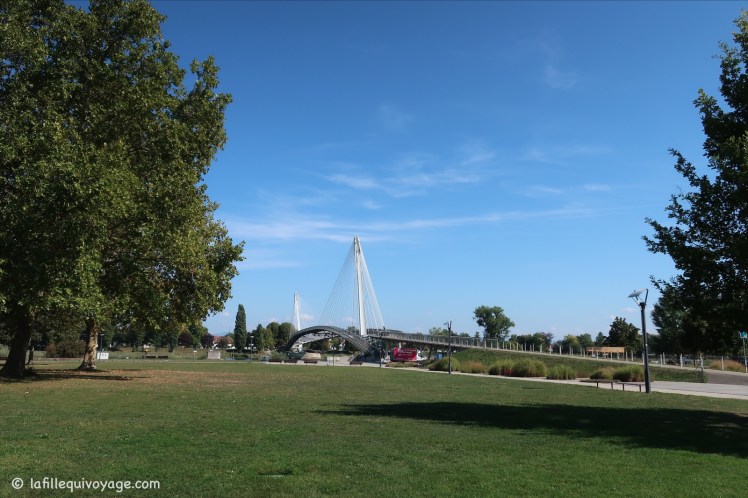 ezy watermark_23-02-2020_20-02-57